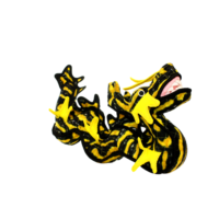 Tuffy® Dragon Yellow