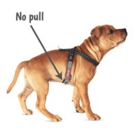 ezydog-crosscheck-no-pull-dog-harness